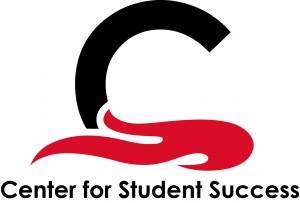 CSSLogo